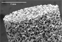 SEM of a BMG Foam